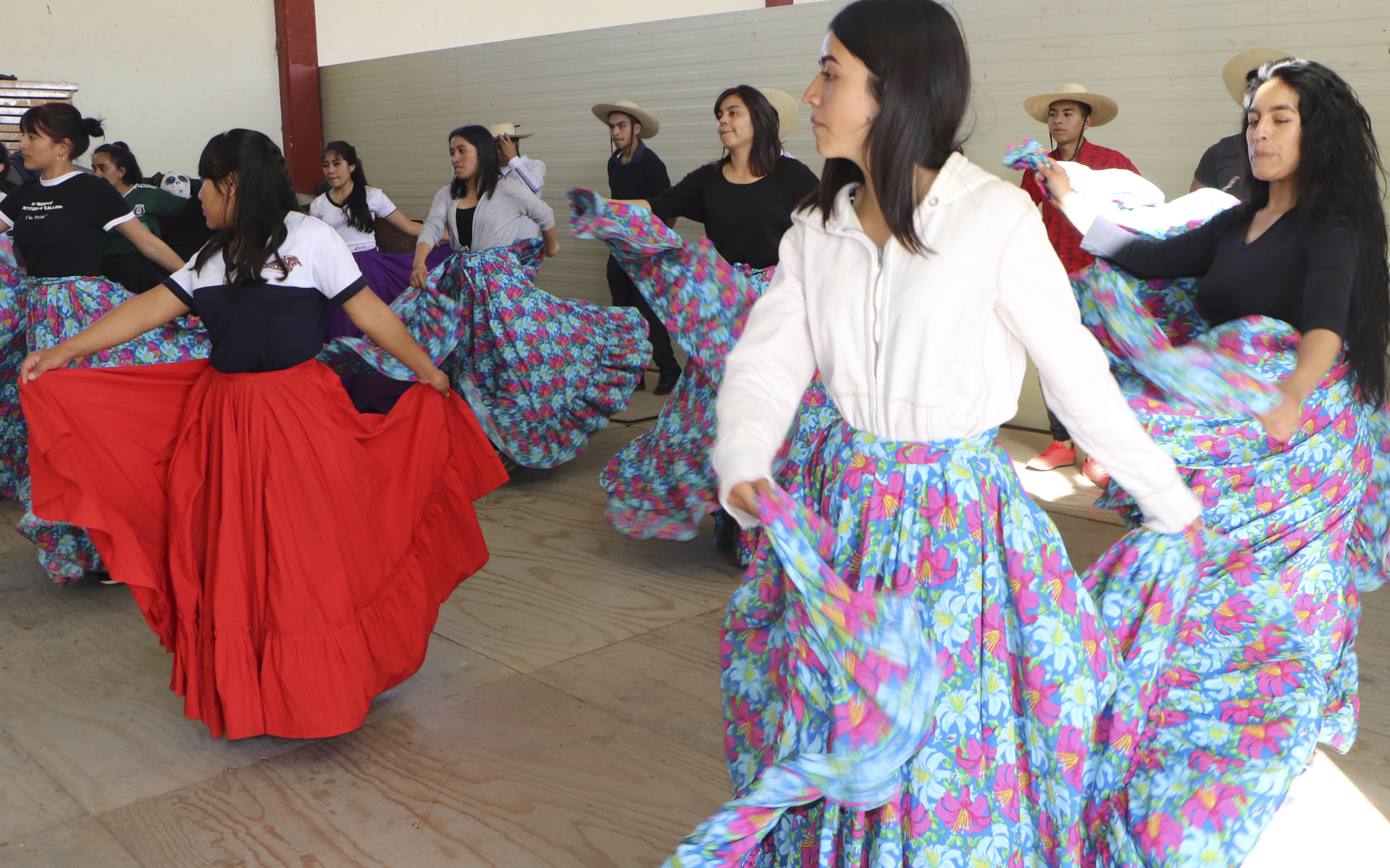 Danza Folclórica