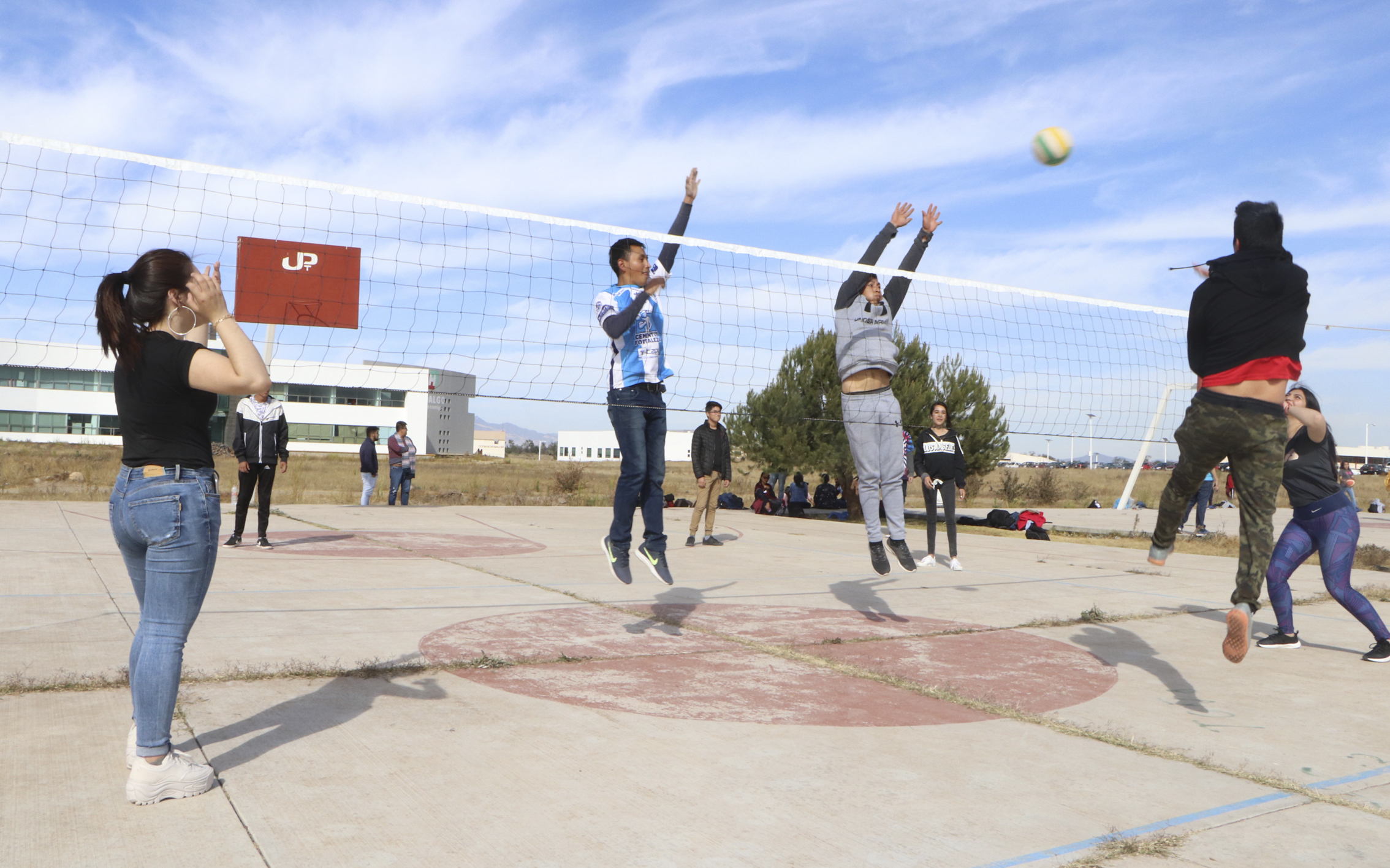 Voleibol