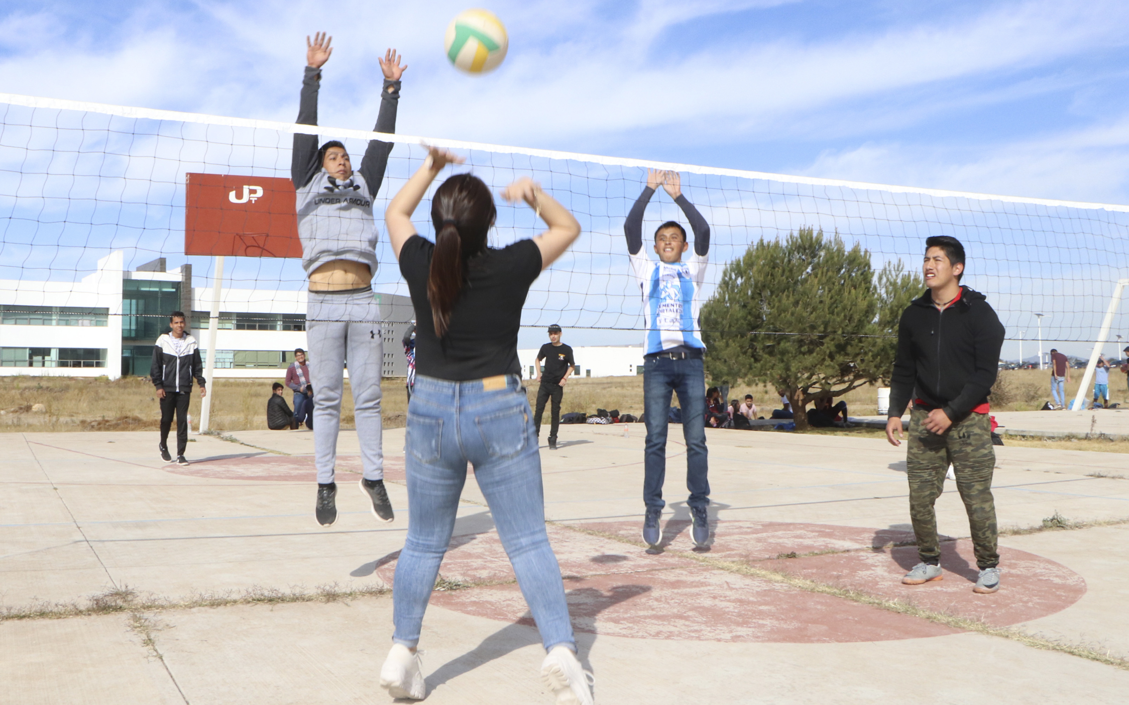 Voleibol