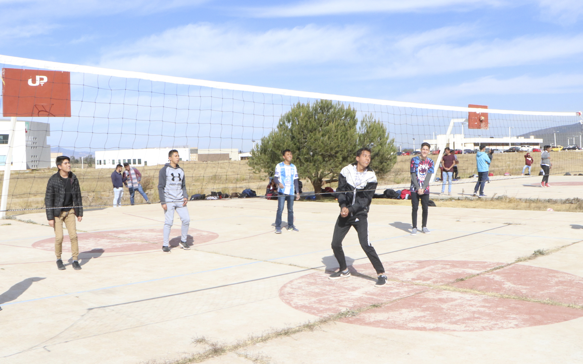 Voleibol