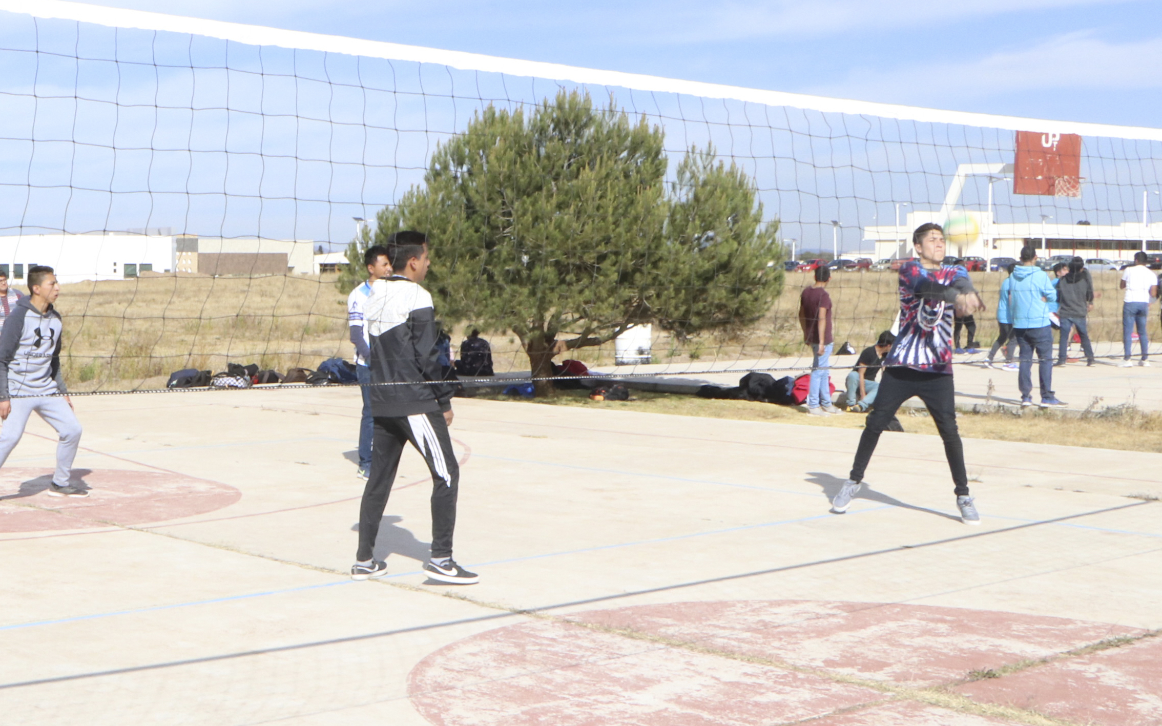 Voleibol