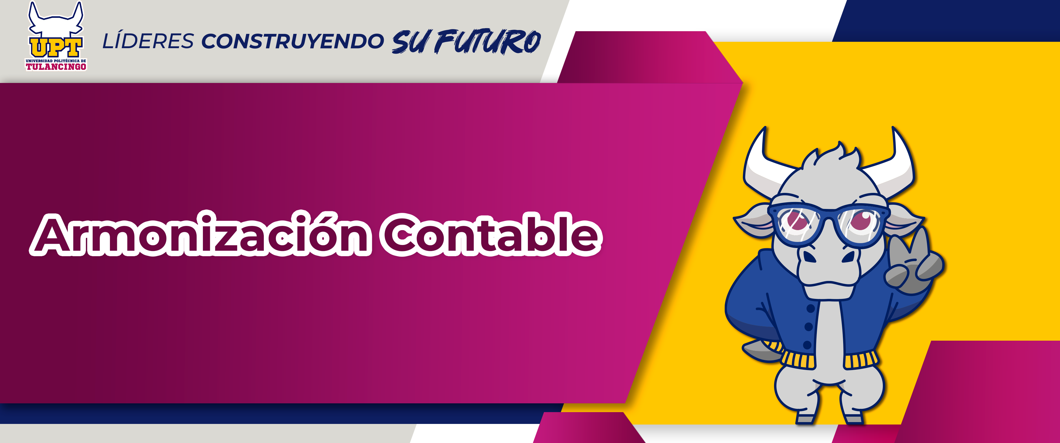 Armonización contable