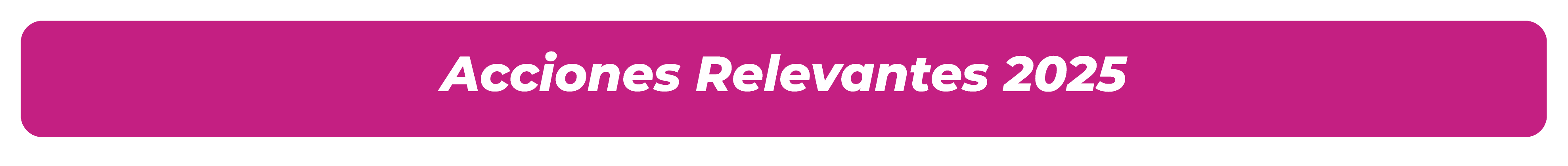 Acciones reelevantes 2025