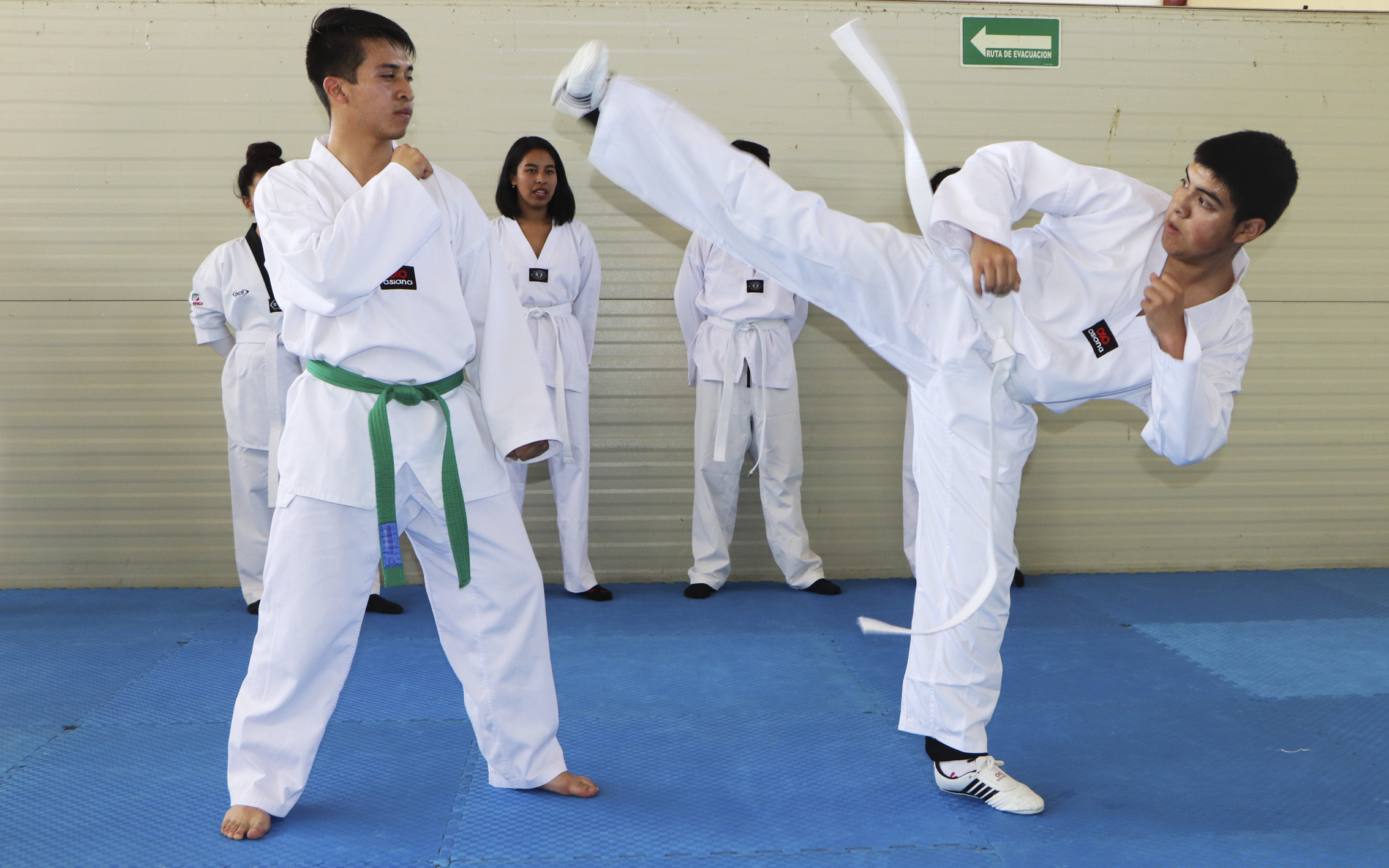 Taekwondo